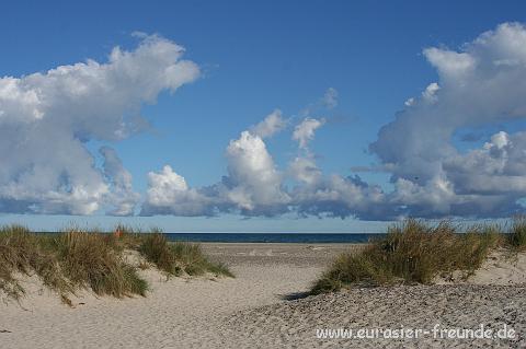 (Foto Goslar)_daenemark_2010_IMG_1096_Skagen_Nordstrand.jpg - Man blickt auf einen herrlichen Strand ...